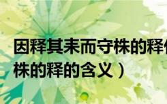 因释其耒而守株的释什么意思（因释其耒而守株的释的含义）