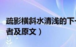 疏影横斜水清浅的下一句（疏影横斜水清浅作者及原文）