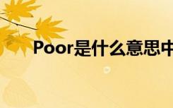 Poor是什么意思中文（Poor的解释）