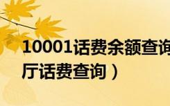 10001话费余额查询短信（10001网上营业厅话费查询）