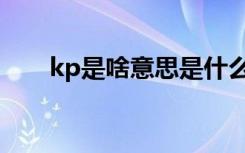 kp是啥意思是什么（kp是什么意思）