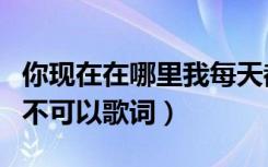 你现在在哪里我每天都在想你是什么歌（客官不可以歌词）