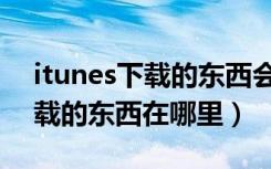 itunes下载的东西会不会被删除（itunes下载的东西在哪里）