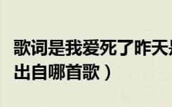 歌词是我爱死了昨天是什么歌（我爱死了昨天出自哪首歌）