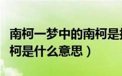 南柯一梦中的南柯是指什么（南柯一梦中的南柯是什么意思）