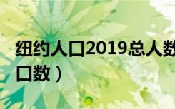 纽约人口2019总人数口（纽约2019年的总人口数）