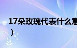 17朵玫瑰代表什么意思（17朵玫瑰代表什么）