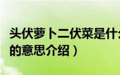 头伏萝卜二伏菜是什么意思（头伏萝卜二伏菜的意思介绍）