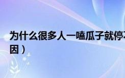 为什么很多人一嗑瓜子就停不下来（嗑瓜子就停不下来的原因）