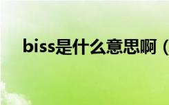 biss是什么意思啊（biss有多重含义吗）