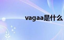 vagaa是什么（vagaa简介）