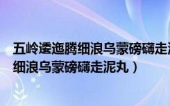 五岭逶迤腾细浪乌蒙磅礴走泥丸意思（怎么理解五岭逶迤腾细浪乌蒙磅礴走泥丸）