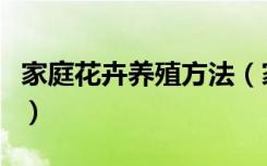 家庭花卉养殖方法（家庭花卉养殖方法是什么）