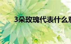 3朵玫瑰代表什么意思（玫瑰花介绍）