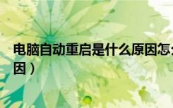 电脑自动重启是什么原因怎么处理（电脑自动重启是什么原因）