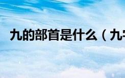 九的部首是什么（九字的偏旁部首是什么）