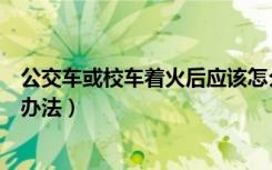 公交车或校车着火后应该怎么办（公交车或校车着火后逃生办法）