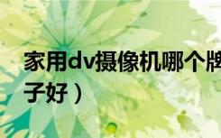 家用dv摄像机哪个牌子好（dv摄像机哪个牌子好）