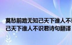 莫愁前路无知己天下谁人不识君是什么意思（莫愁前路无知己天下谁人不识君诗句翻译）