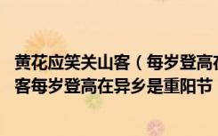 黄花应笑关山客（每岁登高在异乡是什么节日 黄花应笑关山客每岁登高在异乡是重阳节）