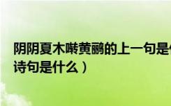 阴阴夏木啭黄鹂的上一句是什么（阴阴夏木啭黄鹂的上一句诗句是什么）