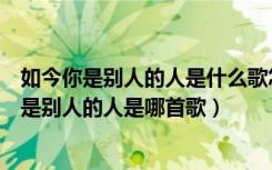 如今你是别人的人是什么歌怎能打扰你的安稳（歌词如今你是别人的人是哪首歌）