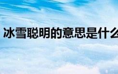 冰雪聪明的意思是什么（冰雪聪明成语出处）