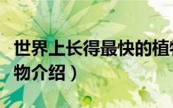 世界上长得最快的植物是什么（长得最快的植物介绍）