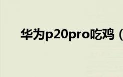 华为p20pro吃鸡（华为p20pro功能）