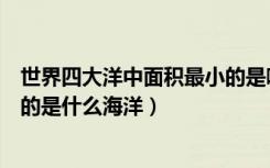 世界四大洋中面积最小的是哪个洋（世界四大洋中面积最小的是什么海洋）