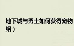 地下城与勇士如何获得宠物（地下城与勇士获得宠物方法介绍）