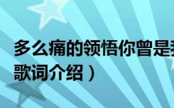 多么痛的领悟你曾是我的全部是什么歌（完整歌词介绍）