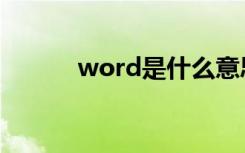 word是什么意思（word文字）