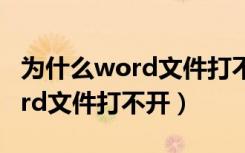 为什么word文件打不开显示360（为什么word文件打不开）