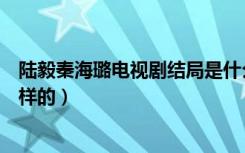 陆毅秦海璐电视剧结局是什么（陆毅秦海璐电视剧结局食怎样的）