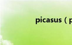 picasus（picasa教程）