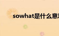 sowhat是什么意思（sowhat翻译）