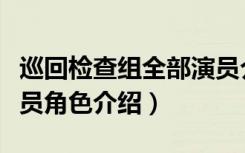 巡回检查组全部演员介绍（巡回检查组全部演员角色介绍）