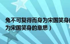 兔不可复得而身为宋国笑身的意思是什么（兔不可复得而身为宋国笑身的意思）