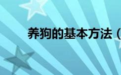 养狗的基本方法（科学的养狗方法）