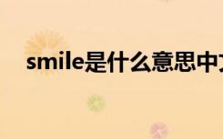 smile是什么意思中文（smile什么意思）