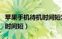 苹果手机待机时间短怎么设置（苹果手机待机时间短）