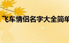 飞车情侣名字大全简单（适合飞车情侣名字）