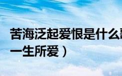 苦海泛起爱恨是什么歌（苦海泛起爱恨是歌曲一生所爱）