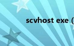 scvhost exe（scvhost exe）