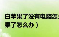 白苹果了没有电脑怎么给苹果手机刷机（白苹果了怎么办）