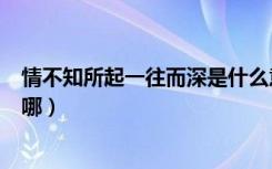 情不知所起一往而深是什么意思（情不知所起一往而深出自哪）