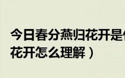 今日春分燕归花开是什么意思（今日春分燕归花开怎么理解）