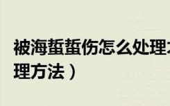 被海蜇蜇伤怎么处理才正确（被海蜇蜇伤的处理方法）