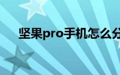 坚果pro手机怎么分屏（坚果pro手机）